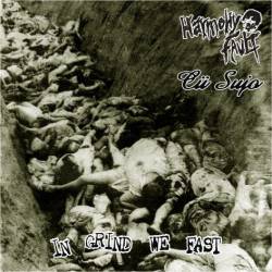 Harmony Fault : In Grind We Fast